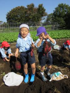 おおきいいもとほそいいも おおきいいもとほそいいも