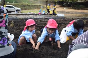 ここにあるよ! ここにあるよ!