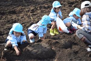 おいもあるかな~? おいもあるかな~?