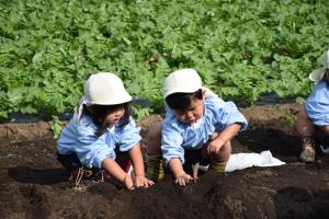 がんばれがんばれ! がんばれがんばれ!