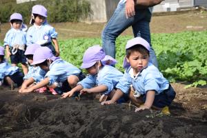 つぼみさんもがんばっています つぼみさんもがんばっています