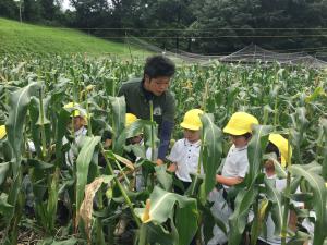 採れるかな? 採れるかな?