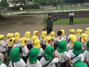 収穫の仕方を聞いています 収穫の仕方を聞いています