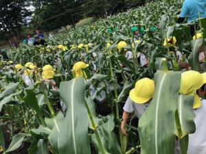 みんなよりも背が高いね! みんなよりも背が高いね!