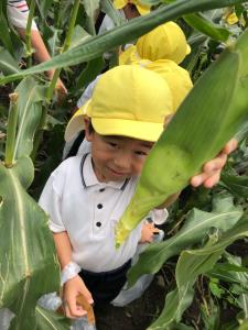 やったー!採れたよ! やったー!採れたよ!