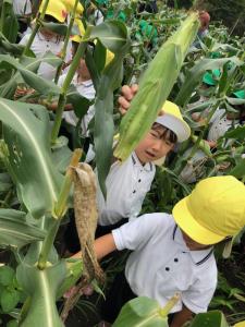 大きいね! 大きいね!