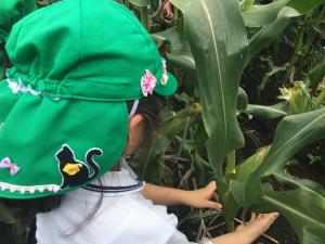 ここをこう持って・・・ ここをこう持って・・・