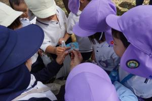 こうろぎ こうろぎ