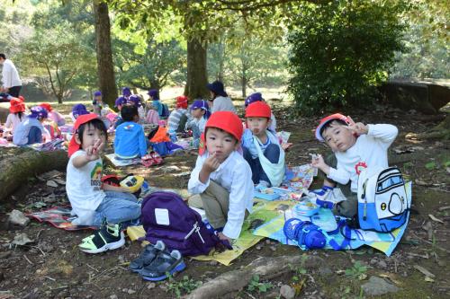 お弁当おいしいね! お弁当おいしいね!