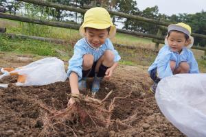 見えてきた! 見えてきた!