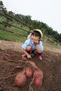 力がいるね! 力がいるね!