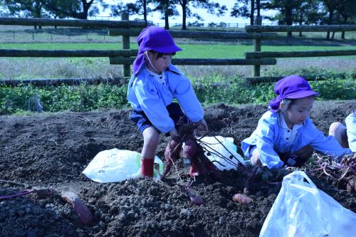 うんとこしょ!どっこいしょ! うんとこしょ!どっこいしょ!