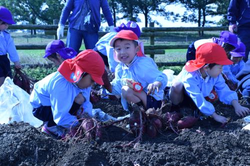 もう少し! もう少し!
