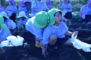 抜けないよー 抜けないよー