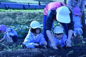 一緒にとろっか 一緒にとろっか