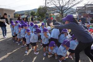 すみれぐみ すみれぐみ