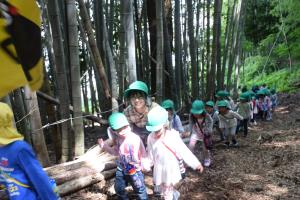 竹林を抜けて…。 竹林を抜けて…。