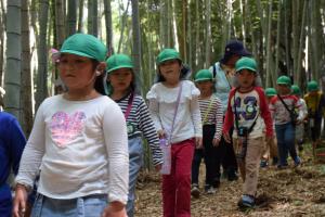 うわ~竹だ! うわ~竹だ!