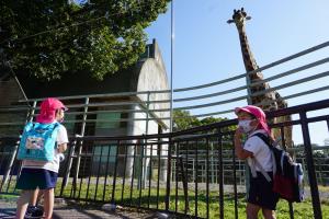 大きなキリンだ! 大きなキリンだ!