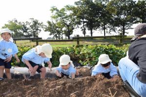 掘るぞー! 掘るぞー!