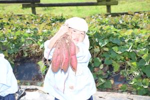 たくさん付いていたよ! たくさん付いていたよ!