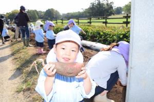 大きなお芋が掘れたよ! 大きなお芋が掘れたよ!