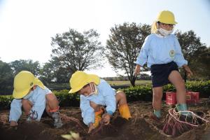 よいしょよいしょ よいしょよいしょ