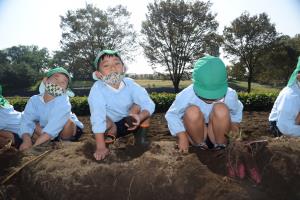 こんなに掘ってもまだとれません こんなに掘ってもまだとれません