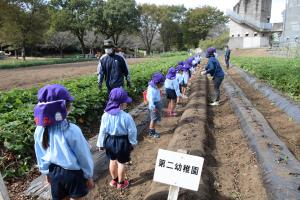 今から掘るぞ 今から掘るぞ