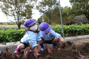 あと少しでとれそうなのに あと少しでとれそうなのに