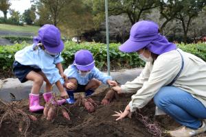 先生と力を合わせて 先生と力を合わせて