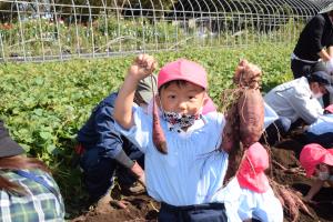 いろんな大きさがあるね いろんな大きさがあるね