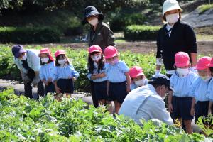 掘り方を教えてもらいました 掘り方を教えてもらいました