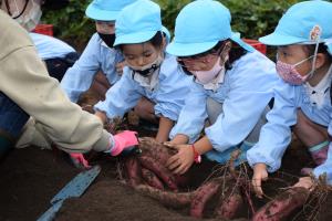こんなに下まで生っているんだね こんなに下まで生っているんだね