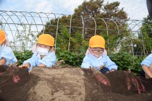 掘るぞ掘るぞ! 掘るぞ掘るぞ!