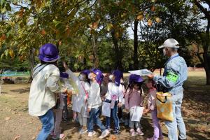 これは何だろう これは何だろう