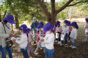 これはどれだろう これはどれだろう