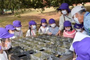 不思議がいっぱい 不思議がいっぱい