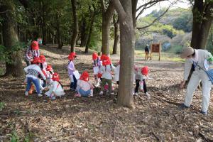 モグラが通る道も探しました モグラが通る道も探しました