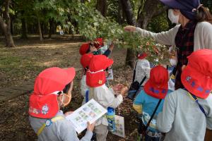 実際に触ってみよう 実際に触ってみよう