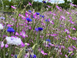 癒されますね… 癒されますね…