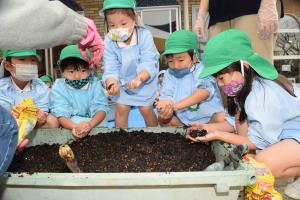 泥団子を作って…。 泥団子を作って…。