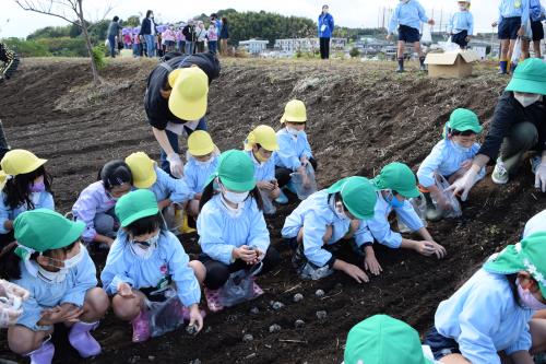 遊水地歩道横にタネ団子を植えました。 遊水地歩道横にタネ団子を植えました。