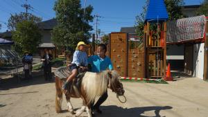 かいちゃん かいちゃん