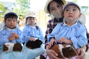 たんぽぽ たんぽぽ