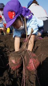 もう少し! もう少し!