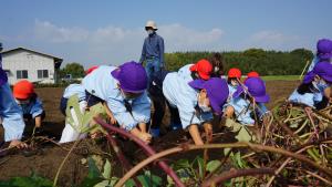 うんとこしょ! うんとこしょ!