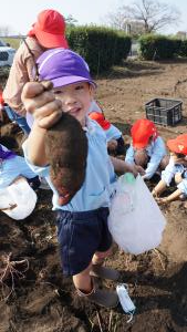 お顔くらい大きいよ! お顔くらい大きいよ!