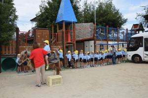 きく組  きく組