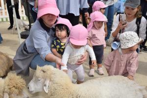 ふわふわしているよ ふわふわしているよ